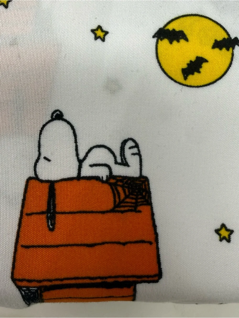 Snoopy Peanuts Fall Halloween Twin Sheet set New